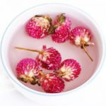 Fleur de Gomphrena Globosa