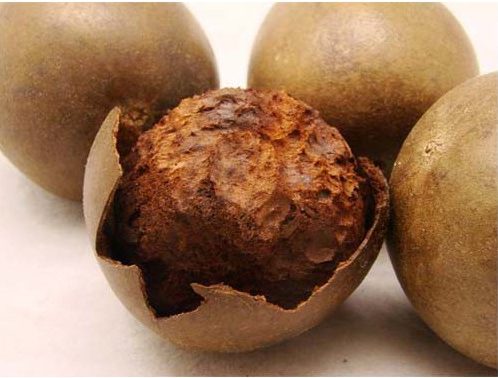 Fruit de Siraitia Grosvenorii (Luo Han Guo)