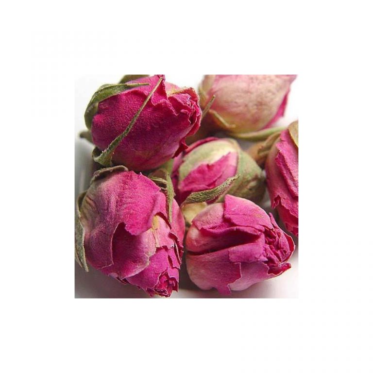 Bouton de rose séché Bouton de rose séché