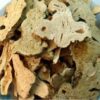 Rhizome d’atractyle Rhizome d’atractyle
