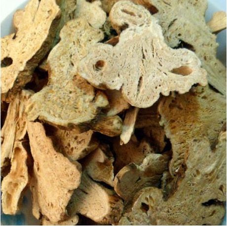 Rhizome d’atractyle Rhizome d’atractyle