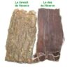 Ecorce d’Eucommia (Du Zhong)
