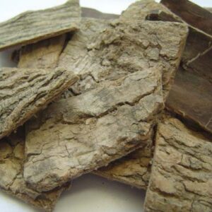 Ecorce d’Eucommia (Du Zhong)