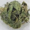 Feuille du mûrier blanc (Sang Ye)