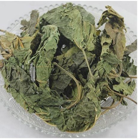 Feuille du mûrier blanc (Sang Ye)
