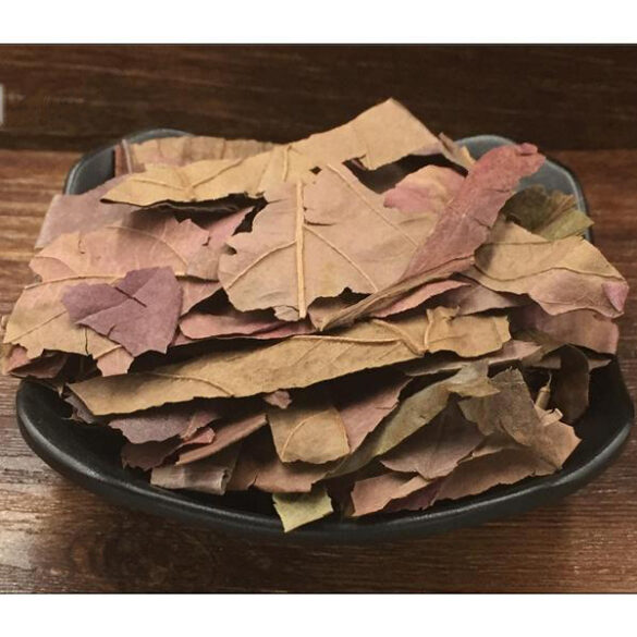 Feuille de kaki