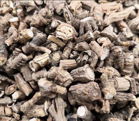 Racine de Buplèvre chinois (Chai Hu)